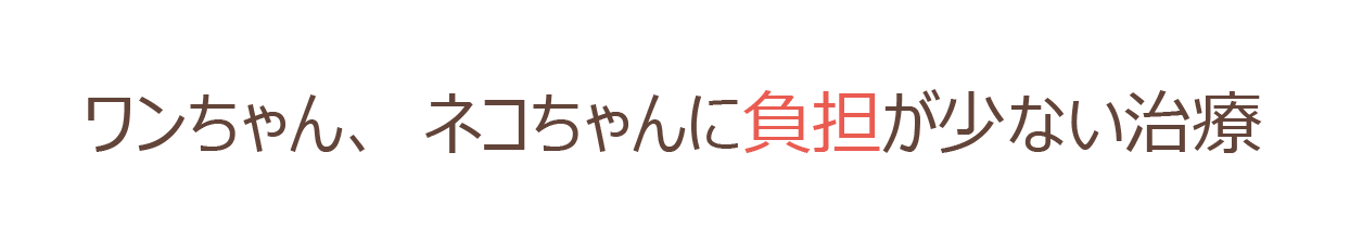 ワンちゃん、ネコちゃんに負担が少ない治療