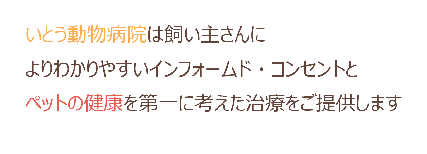 いとう動物病院は飼い主さんによりわかりやすいインフォームド・コンセントとペットの健康を第一に考えた治療をご提供します